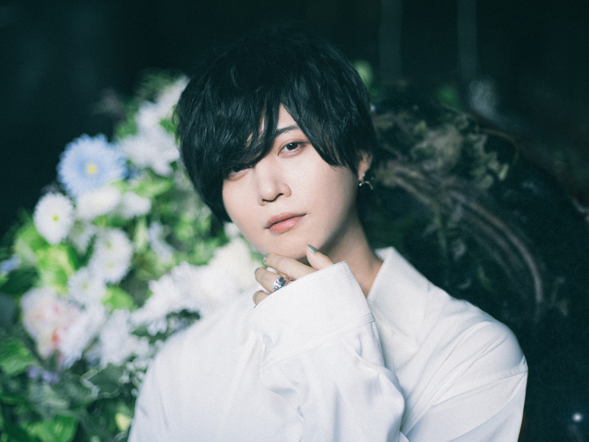 [WebSize]